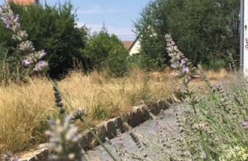 Obereggenen Appartement | Oasis of calm in the cherry blossom valley