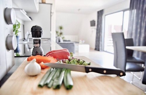 Monkebude Appartement | Oberes Apartment 1 mit Dachterrasse Ferienhaus in Mönkebude am Stettiner-haff