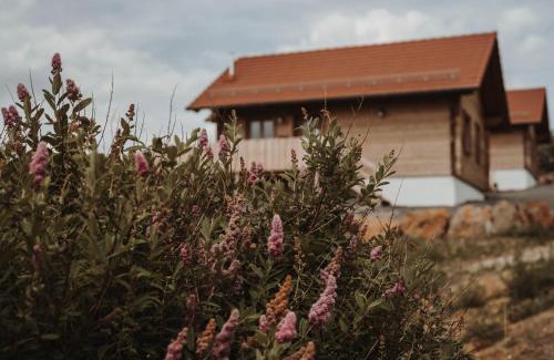 Schotten Chalet De Ski | Oberwald Chalets 1