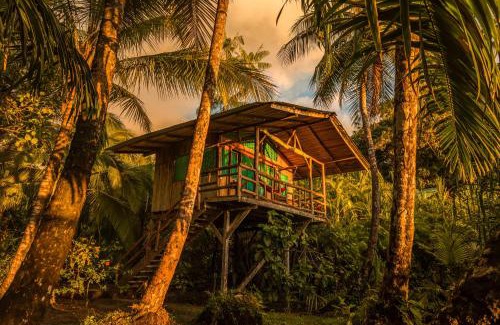 Palma Hôtel | Ocean Forest Ecolodge