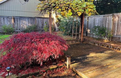 Metzger Maison | Ocean Inspired Artists Cove 4B in SW Portland