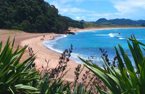 Hot Water Beach Maison | Front de mer, tout neuf avec une vue imprenable sur Hot Water Beach