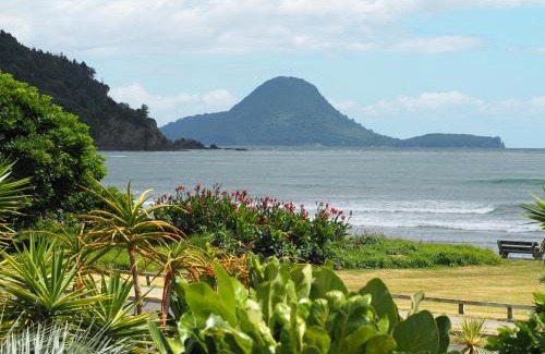 Ohope Appartement | Ocean View