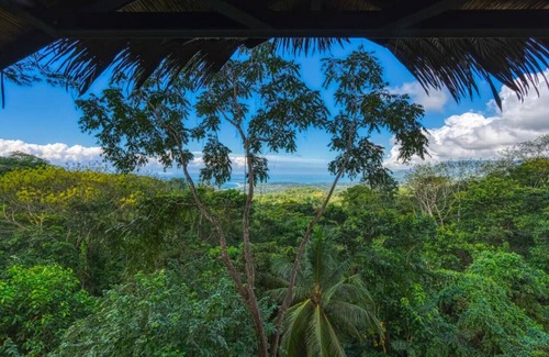 Ballena Cabine | Oceanview Jungle tree house