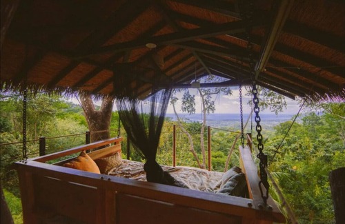 Ballena Cabine | Oceanview Jungle tree house