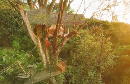 Ballena Cabine | Oceanview Jungle tree house