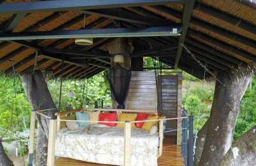 Ballena Cabine | Oceanview Jungle tree house