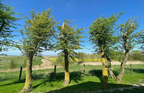 Nordstrand Appartement | Ockenswarft - Ferienwohnung Austernfischer