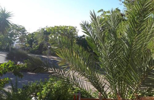 West Bank Appartement | oded Inviting housing