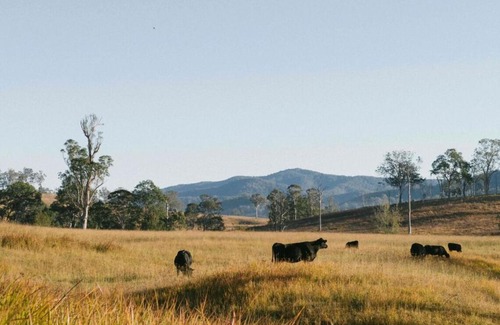 Bowman Farm Maison | Off-Grid Cabin Nestled in Nature - Pet Friendly - Dawn