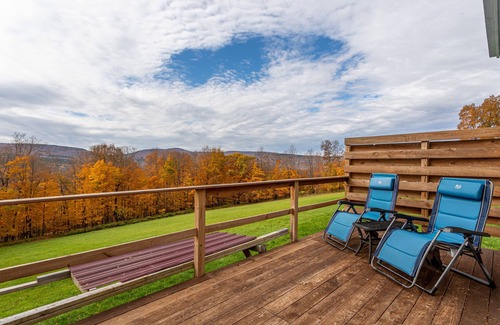 Town of Broome Cabine | Off-Grid Tiny Stargazing Home with Mountain views, Elevated Deck & Wi-Fi