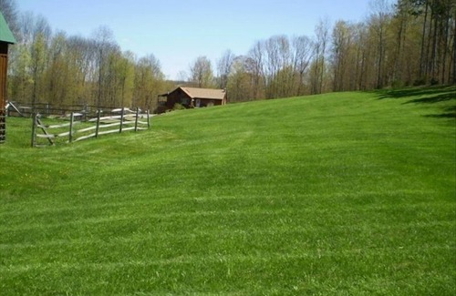 Middlebury Center Cabine | BELLE CABINE PRIVÉE WELLSBORO MANSFIELD - ANIMAUX DE PA GRAND CANYON - WIFI