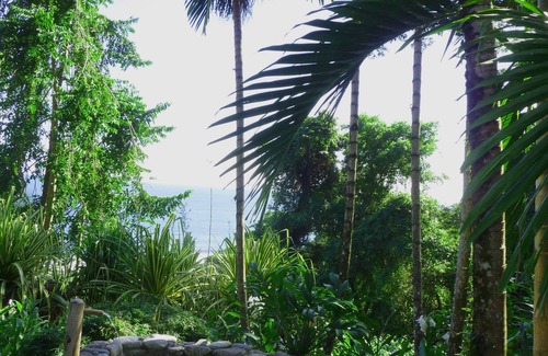 Carate Maison | Off the Grid Bungalow entouré par la forêt tropicale et