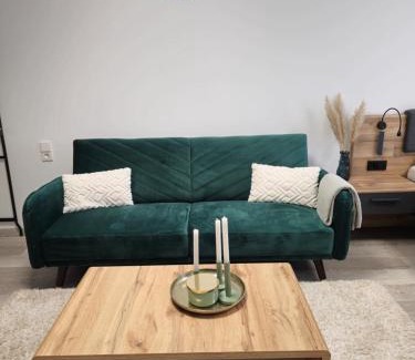 Ramstein-Miesenbach Appartement | Offbase Lodging No8