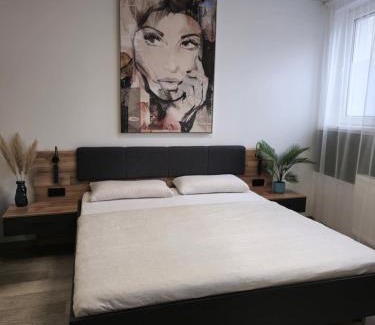Ramstein-Miesenbach Appartement | Offbase Lodging No8