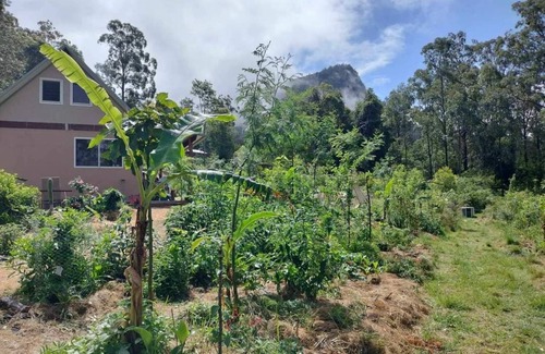 Koreelah Cabine | Offgrid Tiny Home in a Food Forest Garden