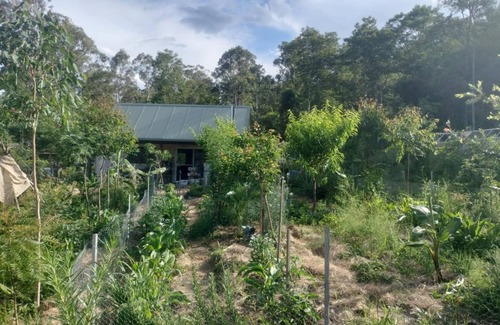 Koreelah Cabine | Offgrid Tiny Home in a Food Forest Garden
