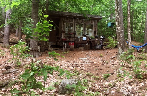 Canterbury Cabine | Official Tiny Earth Cabin: Cozy, 2-Night Minimum, Woods & Wildlife