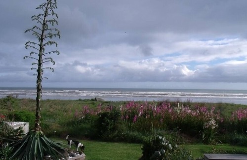 Ohope Maison | OHOPE, ABSOLUTE BEACH FRONT