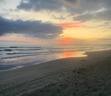 Ohope Appartement | Ohope Coastal Escape