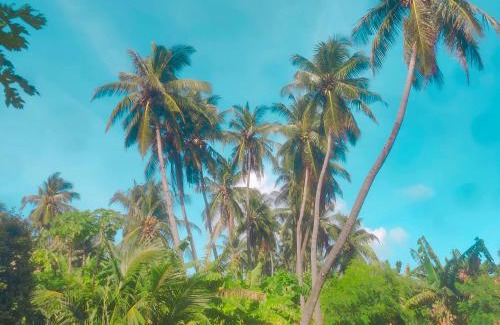 Maamigili Maison | Oi Beach