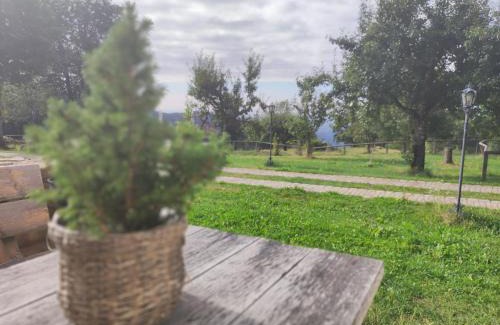 Schwarzach Appartement | OIDE STUB'N am Grandsberg