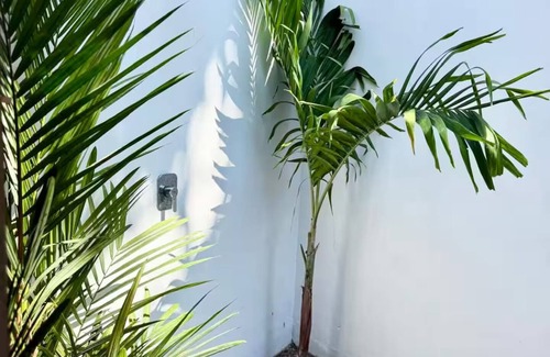 El Paredon Maison | Ola Beach House