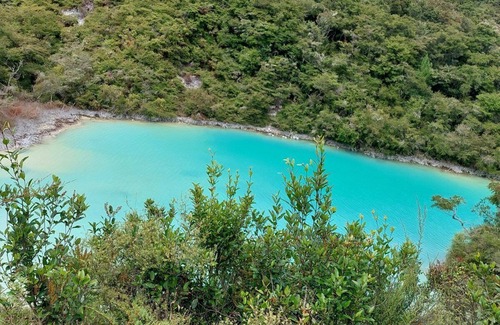 Rerewhakaaitu Cabine | Old Brett Rd Hut
