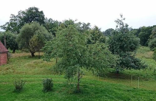 Wendemark Maison | Vieille maison individuelle à colombages directement sur la digue de l'Elbe