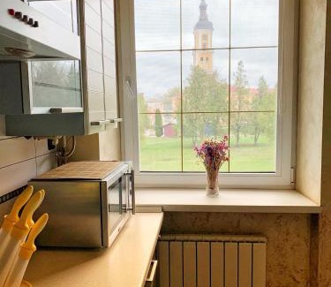 Kamenets-Podol'skiy Appartement | Old Town Apartments