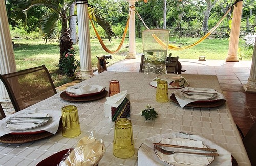 Yucatan Peninsula Maison | Old yucateca hacienda with private cenotes and horses included, animals allowed