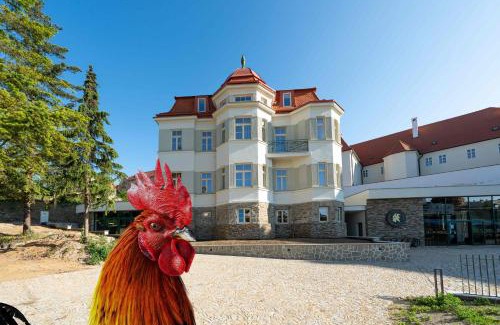 Znojmo Hôtel | OldCock Castle
