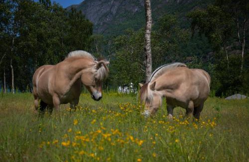 Jostedal Autre | Olden Glamping - One with nature