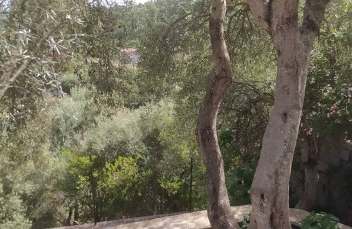 Sorso Maison | Olea House located in the countryside and close to everything you want.