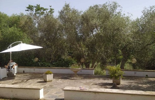 Sorso Maison | Olea House located in the countryside and close to everything you want.