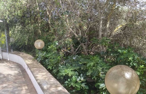 Sorso Maison | Olea House located in the countryside and close to everything you want.