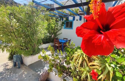 Ferma Appartement | Oleander's Garden Traditional Cretan Cottage