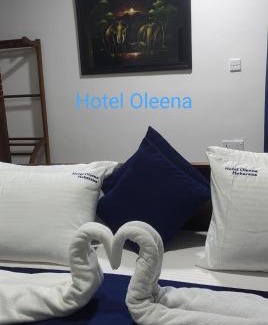 Habarana Maison | Oleena Home Stay