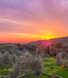 Zeytinli Autre | Oli Camping & Bungalows