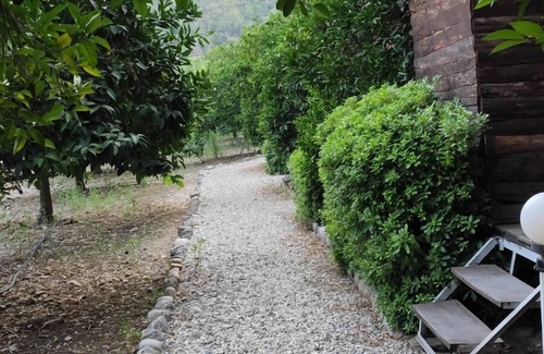 Olympos Hôtel | Olimpos Ada Bungalov