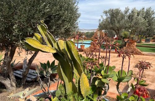Los Albaricoques Appartement | Olivares Rural