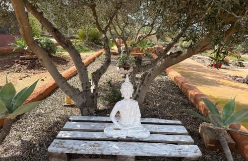 Los Albaricoques Appartement | Olivares Rural