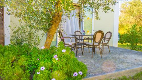 Lixouri Appartement | Olive Τrees Garden