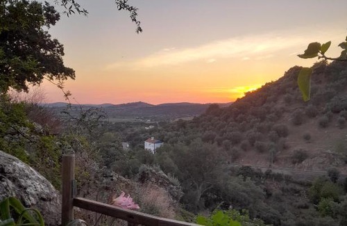 Portalegre Maison | Olive -Casa da Boavista