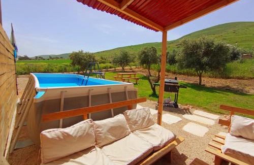 Yavne'el Autre | Olive Dome - כיפה גיאודזית ענקית ומודרנית בין עצי הזית