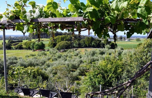 Meroo Meadow Maison | Olive Grove - A Contemporary Rural Haven
