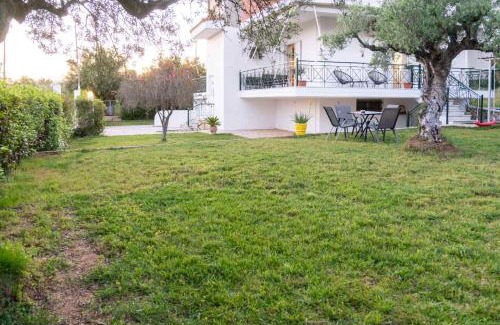 Messaia Appartement | Olive Harmony House