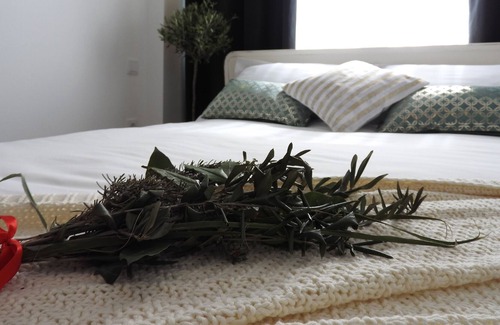 Olivais Lit Et Petit-Déjeuner | Chambre d'huile d'olive, chambres de charme de l'aéroport de Lisbonne