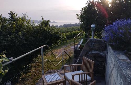 Strunjan Appartement | Olive ranch