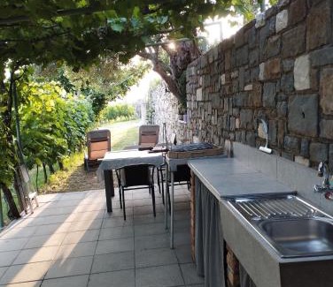Strunjan Appartement | Olive ranch